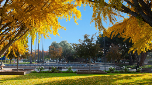 City of Santa Clara ARES/RACES  - Volunteer