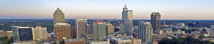 Assistant Engineering Services Director for Project Administration