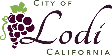 Public Works Director